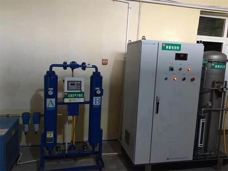 浙江某食品厂臭氧消毒机